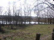 Image00006.jpg