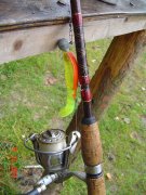 DSC05697.JPG