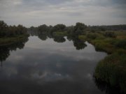 Orel_03092011 001 copy.jpg
