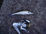 DSC04753.jpg