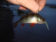 DSC04756.jpg