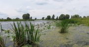 Панорама 2.jpg