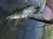 IMG_0039.jpg