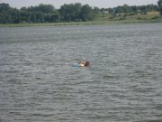 IMG_3157[1].JPG