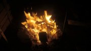 DSC08207.jpg