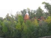 IMG_6285.JPG