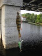 IMG_6290.jpg