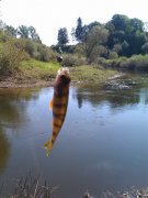 IMAG0690.jpg