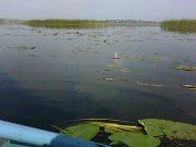 IMG0069A.jpg