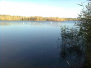 Фото0281.jpg
