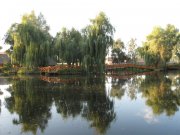 IMG_0093.jpg