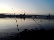P14-09-11_19.29.jpg