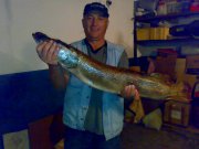 15092011153.jpg
