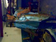 15092011154.jpg