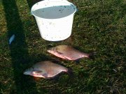 17092011082.jpg