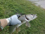 17092011274.jpg