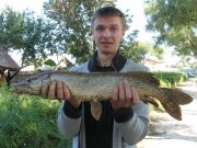 IMG_0147.jpg