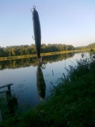 17092011108.jpg