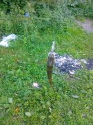 17092011109.jpg