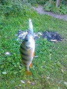 17092011112.jpg
