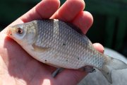 IMG_6126.jpg