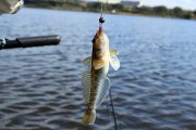 IMG_6129.jpg