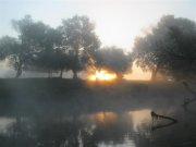 горинь 013 (Large).jpg