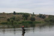 IMG_5978.jpg