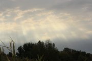 IMG_6005.jpg