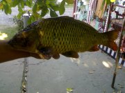 05092011006.jpg