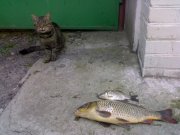3Г05092011010.jpg