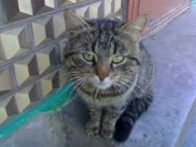 .4Г08052011-001.jpg