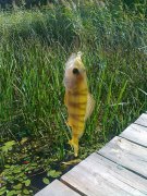 26092011118.jpg