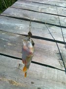 26092011120.jpg