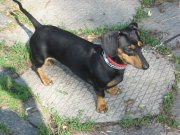 IMG_0779_cr.jpg