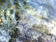 Фото0351.jpg