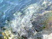 Фото0353.jpg