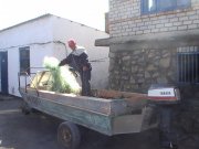 PIC_0320.jpg