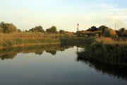 IMG_6713.jpg