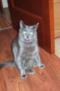 DSCF5669.jpg