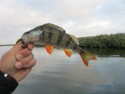 IMG_1008.JPG