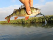 IMG_1009.JPG