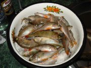 DSC07901.jpg