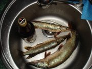 DSC07905.jpg