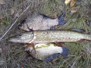 02102011251н.JPG