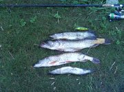 DSC00578.jpg