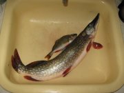 IMG_3393.jpg