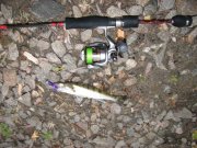 IMG_0194.jpg