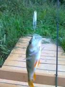 06102011131.jpg