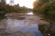 IMAG0039.jpg